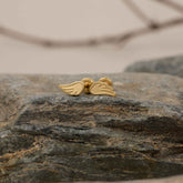 Topitos de Seguridad Alita